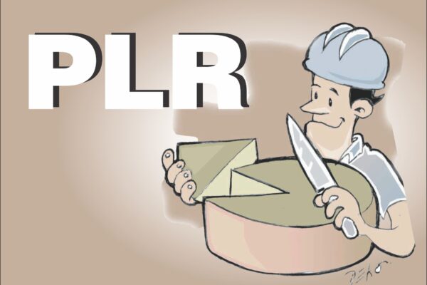 PLR DA SALOBO METAIS VOLTA A SER DISCUTIDA NA QUINTA, DIA 14 plr